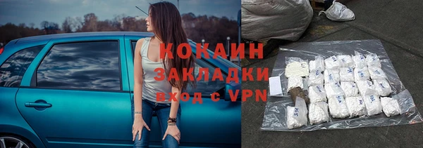гидра Каменногорск
