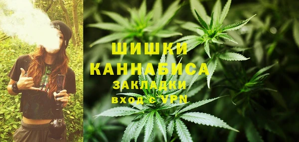 СК Инсар