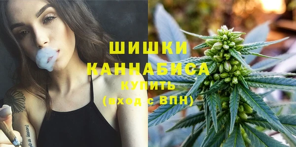 СК Инсар