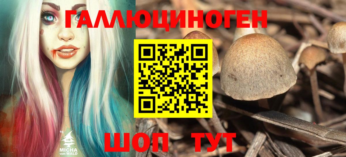 Галлюциногенные грибы MAGIC MUSHROOMS Саранск