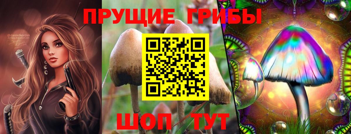 Псилоцибиновые грибы Psilocybe  Вход с VPN  Саранск 