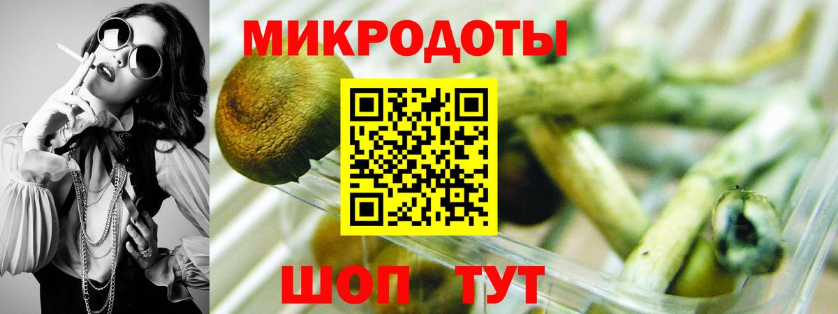 Галлюциногенные грибы Саранск