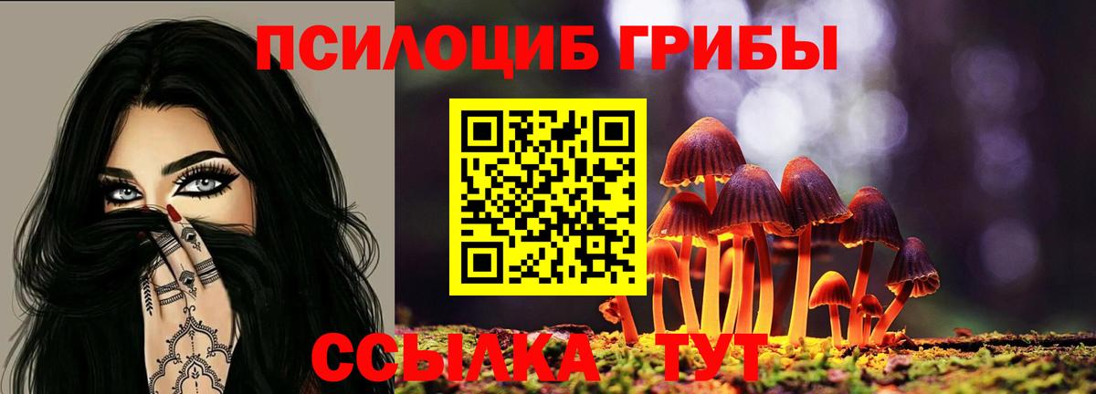 Саранск  Псилоцибиновые грибы ЛСД  Псилоцибиновые грибы Psilocybe  Вход с VPN 